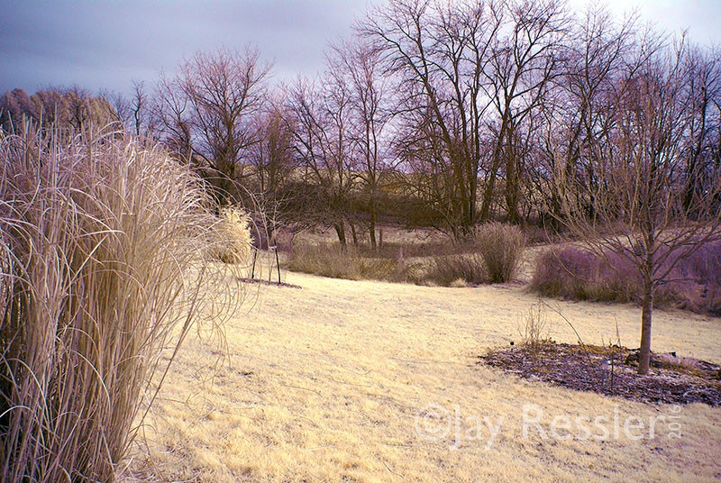 Blue Sky Infrared with Yellow Florenence