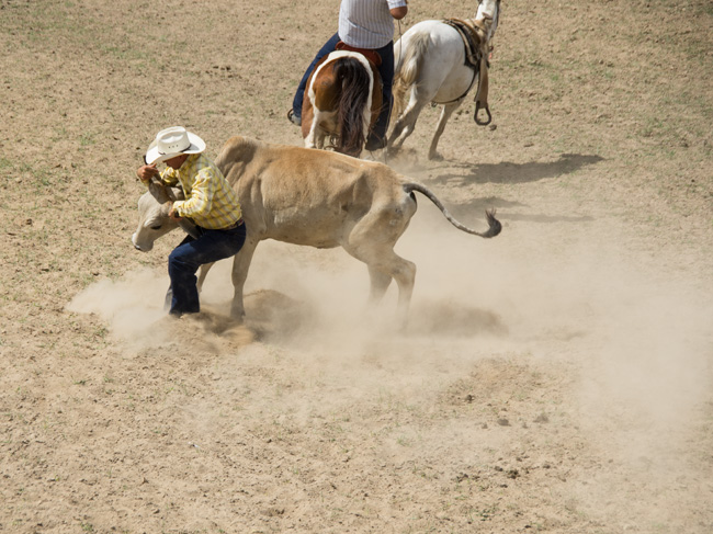 King Ranch Rodeo