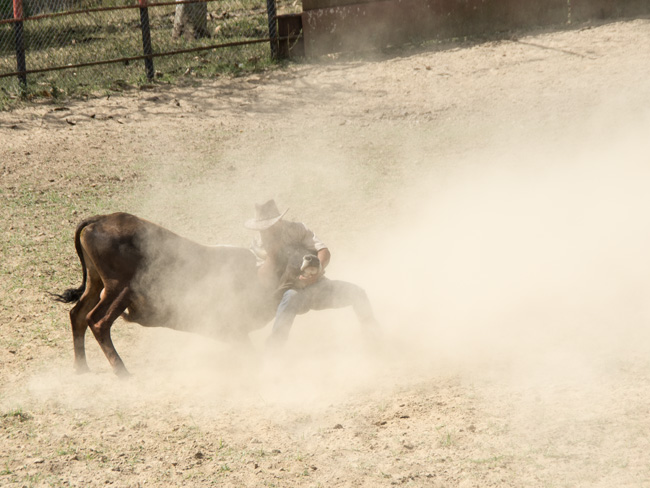 King Ranch Rodeo