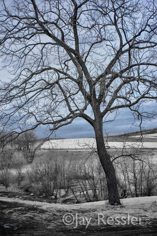 Guarding the Kempton Hills