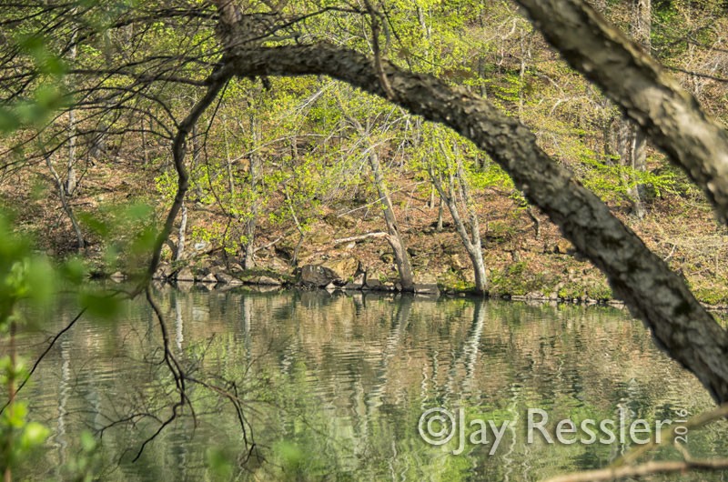 Looking Across the Schuylkill