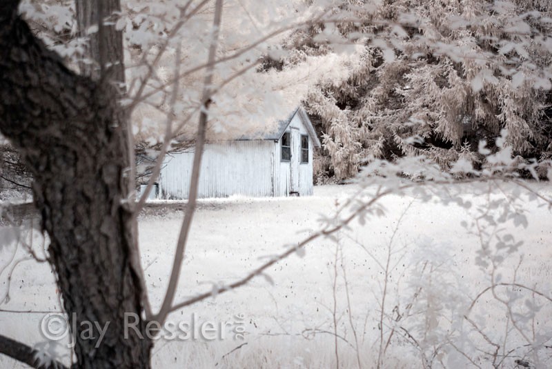 Yard Shed