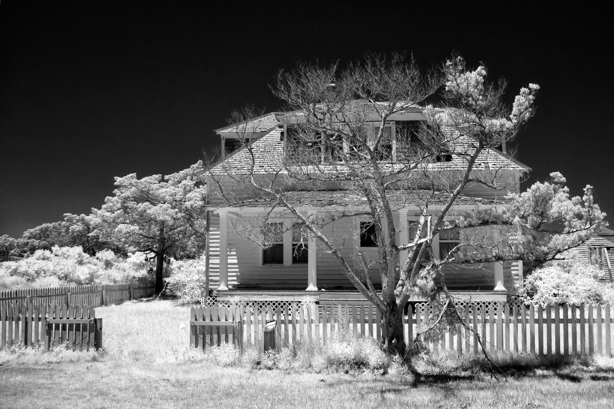 Braggs-Mayo House with Dead Tree