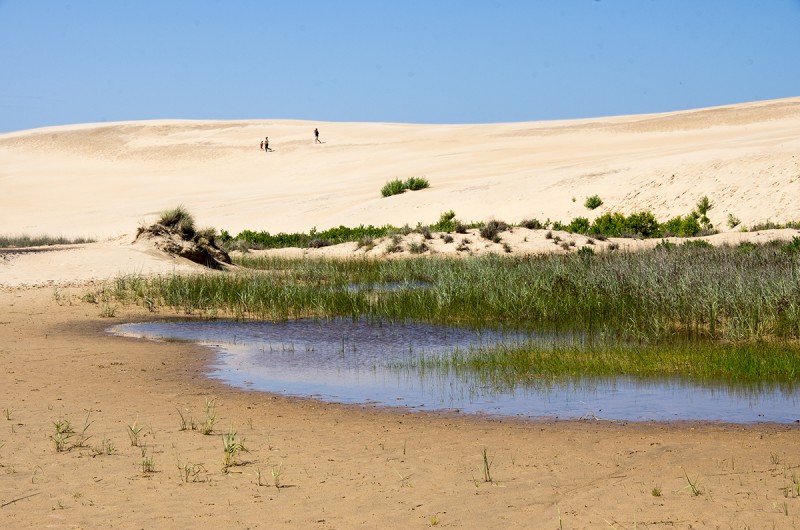 Shallow Pool, Jockey's Ridge