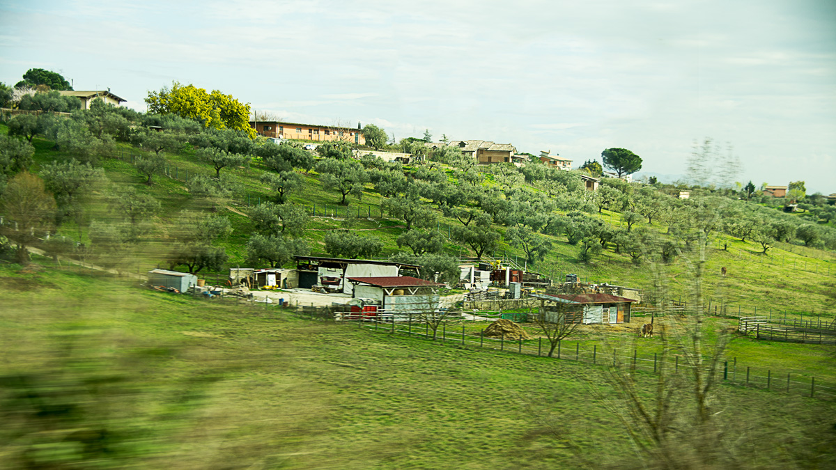 Italian Countryside 4