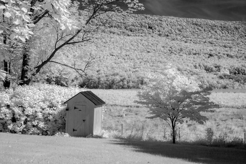 Old Outhouse, New Hinges