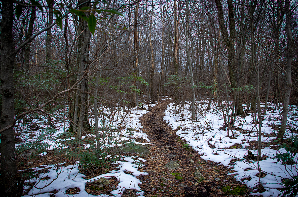 Snow on the Appalachian Trail