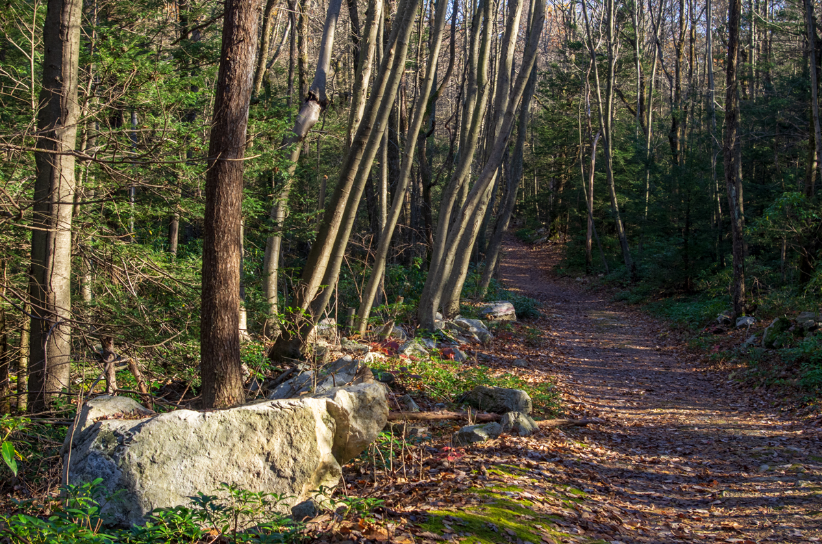 Furnace Creek Trail