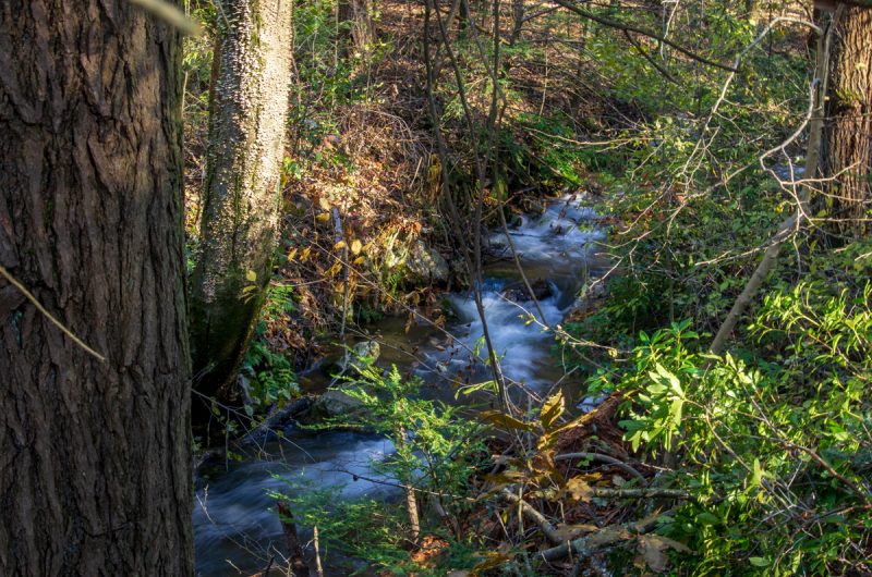 High Above the Creek