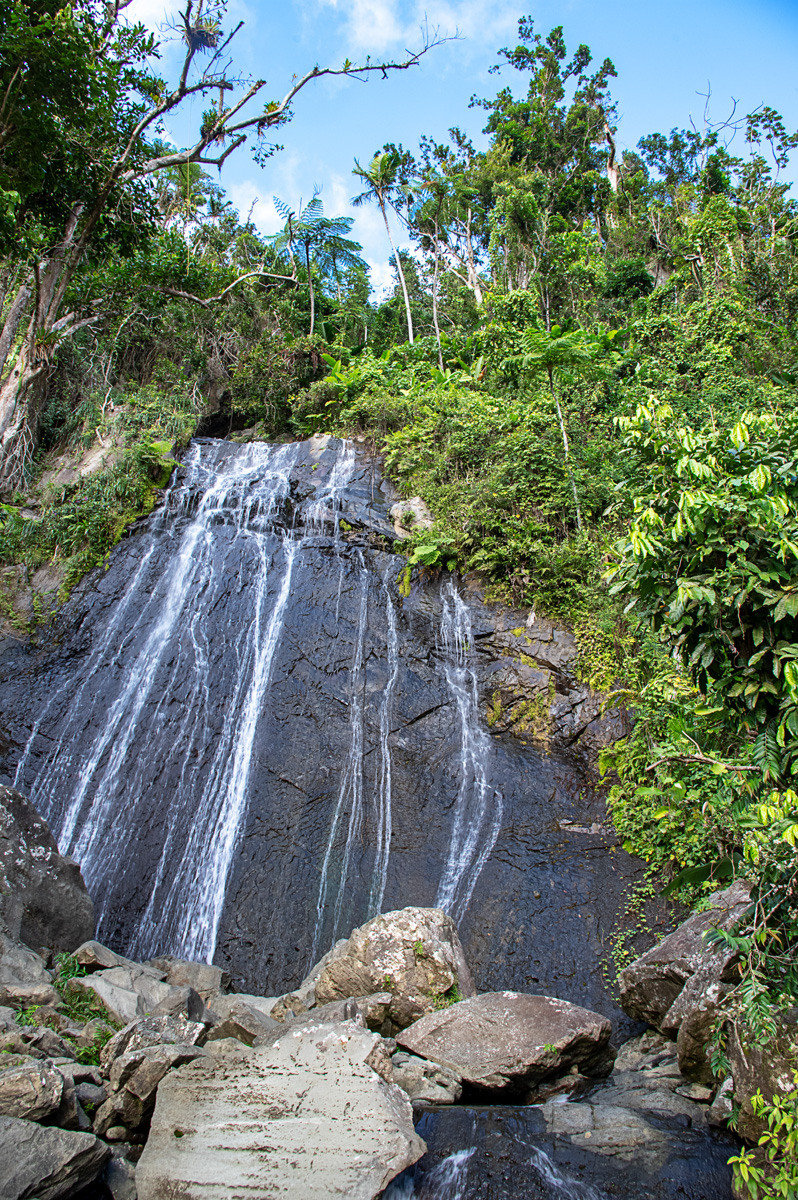 La Coca Falls — El Yunque Rainforest 09