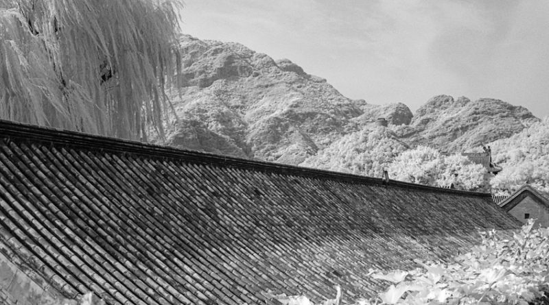 Rugged mountains serve as the backdrop for a terracotta-roofed building surrounded by trees in this Black and white infrared photo. The building appears to be par t of the administrative and maintenance complex for the wall at Huangyaguan. Vegetation appears to floresce in infrared photography.