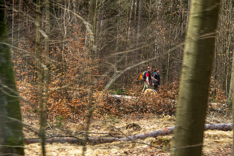 A German couple walking their dog on a path next to the river.