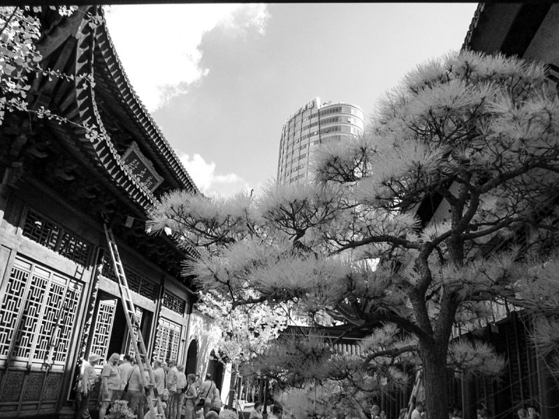 High Rise building peeks through skyline behind ancient Pagoda