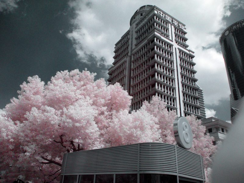 No. 8, False Color Infrared Photograph, Shanghai