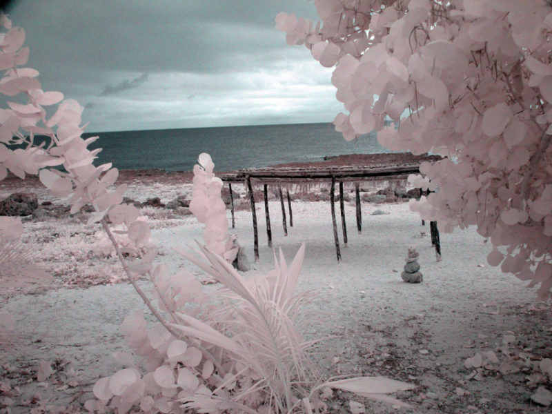 False Color IR at Playa de la Batea #01