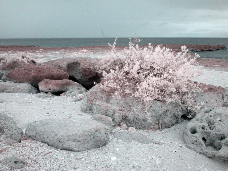 False Color IR at Playa de la Batea #02