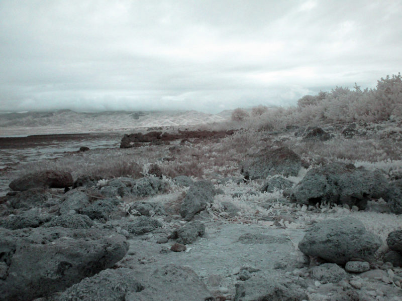 False Color IR at Playa de la Batea #03