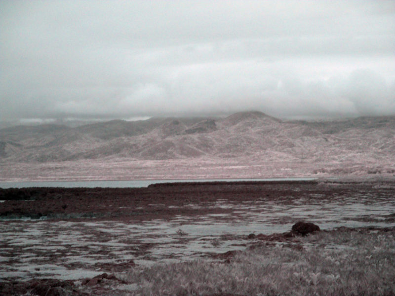 False Color IR at Playa de la Batea #04