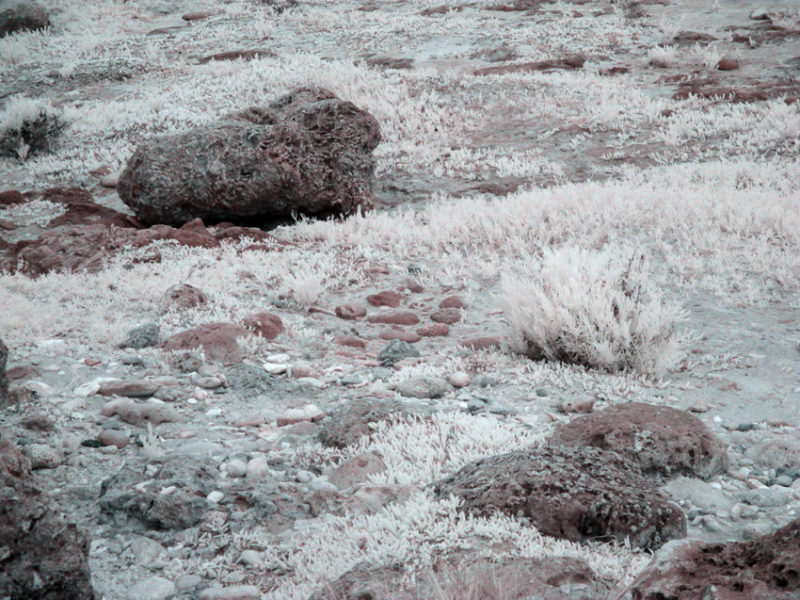 False Color IR at Playa de la Batea #06