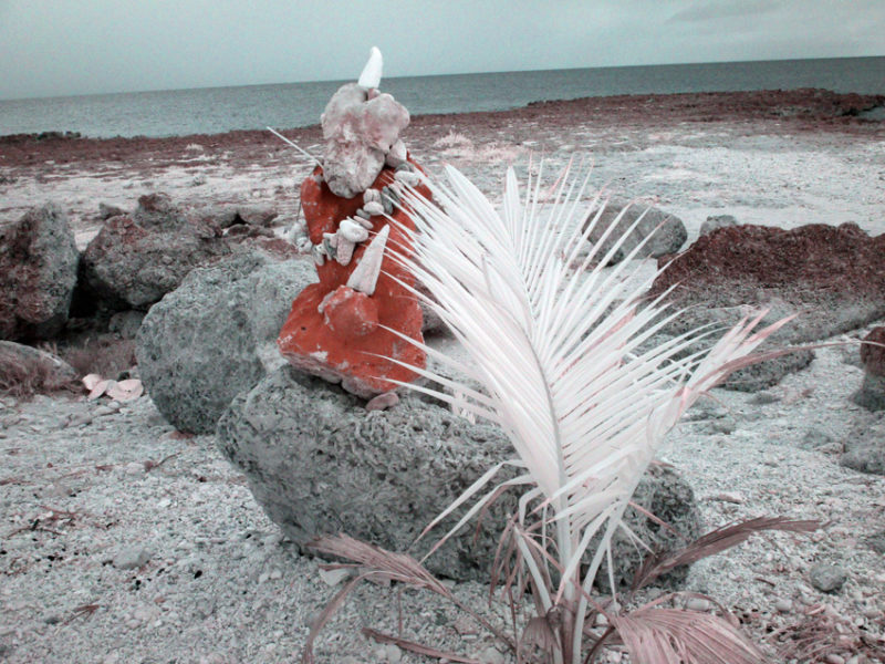 False Color IR at Playa de la Batea #07