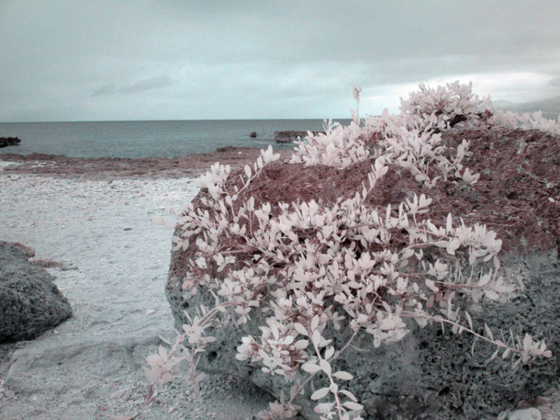 False Color IR at Playa de la Batea #08