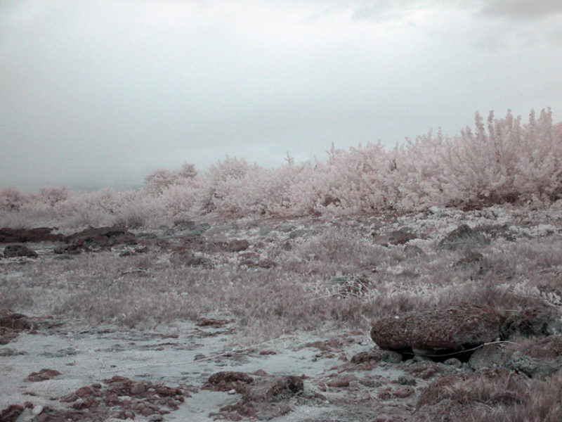 False Color IR at Playa de la Batea #10