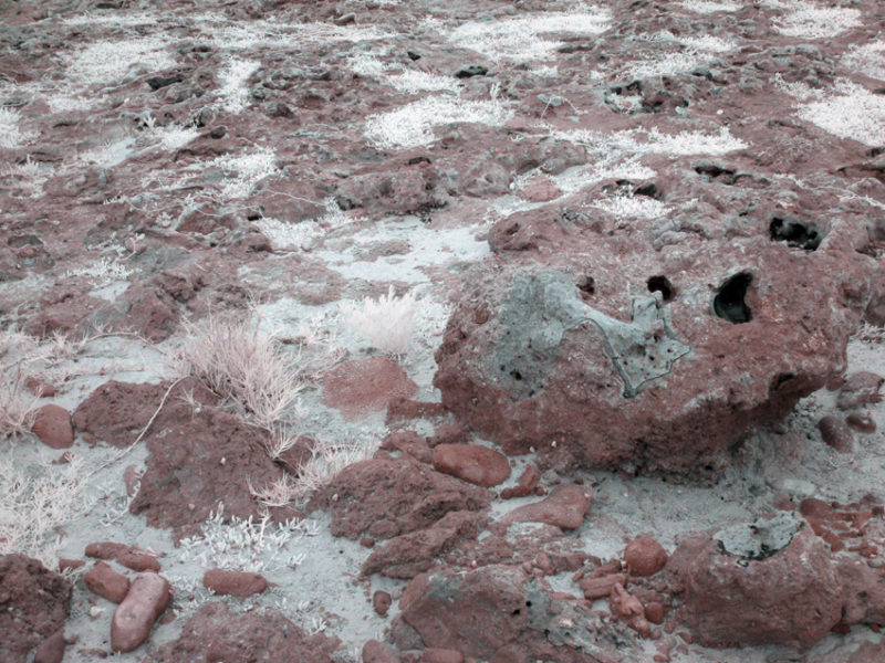 False Color IR at Playa de la Batea #12