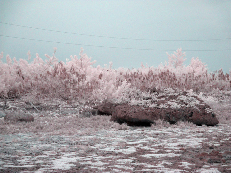 False Color IR at Playa de la Batea #13