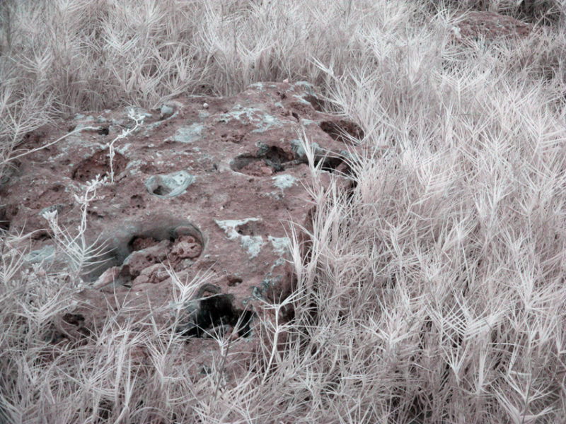 False Color IR at Playa de la Batea #15