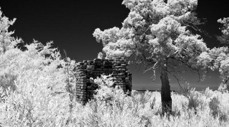 Vestige of a house on Portsmouth Island, NC, which was abandoned in the 1970s as is now maintained by the National Park Service. Mosquito infested. Can only be reached by boat. • Black and White 720mm Infrared Photograph
