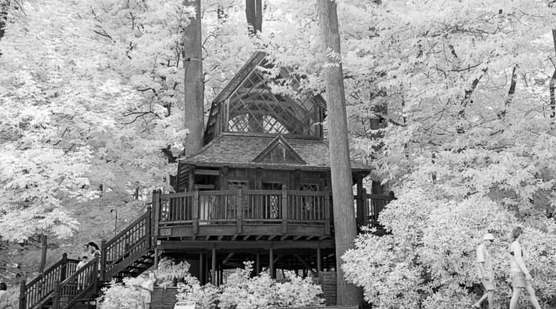 Tree House, Longwood Gardens, 720nm Infrared