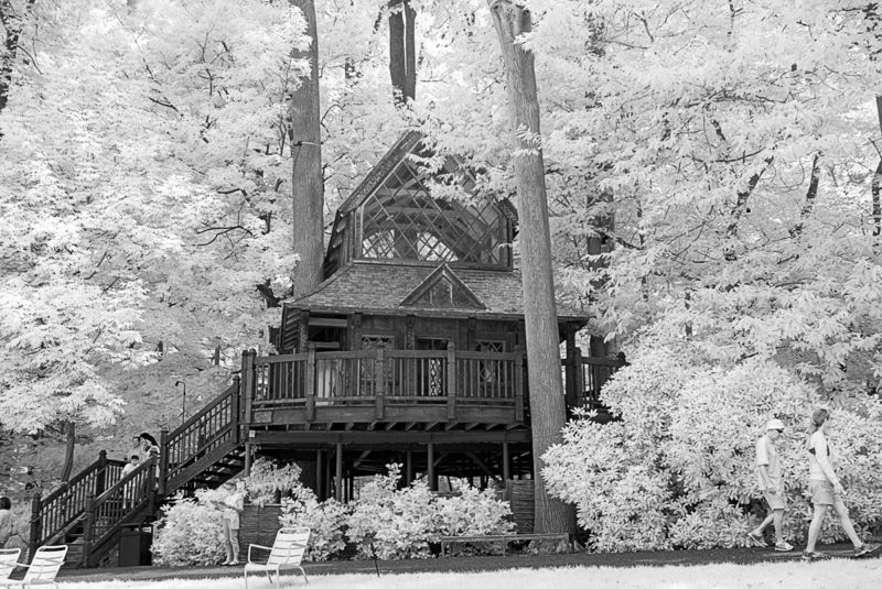 Tree House, Longwood Gardens, 720nm Infrared