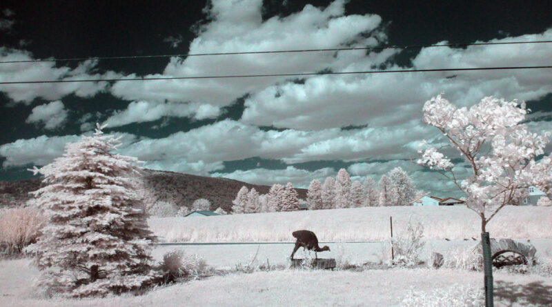 Clouds Over the Mountain in False Color Infrared
