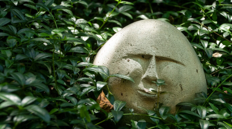 A rock hewn as the face of a sunbeam sits in and ivy-covered shade garden