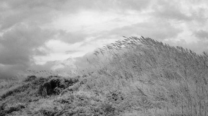Windswept Ridge, Infrared Photograph, Black and White