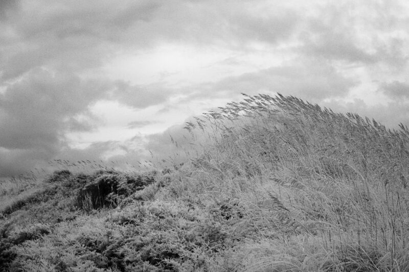 Windswept Ridge, Infrared Photograph, Black and White