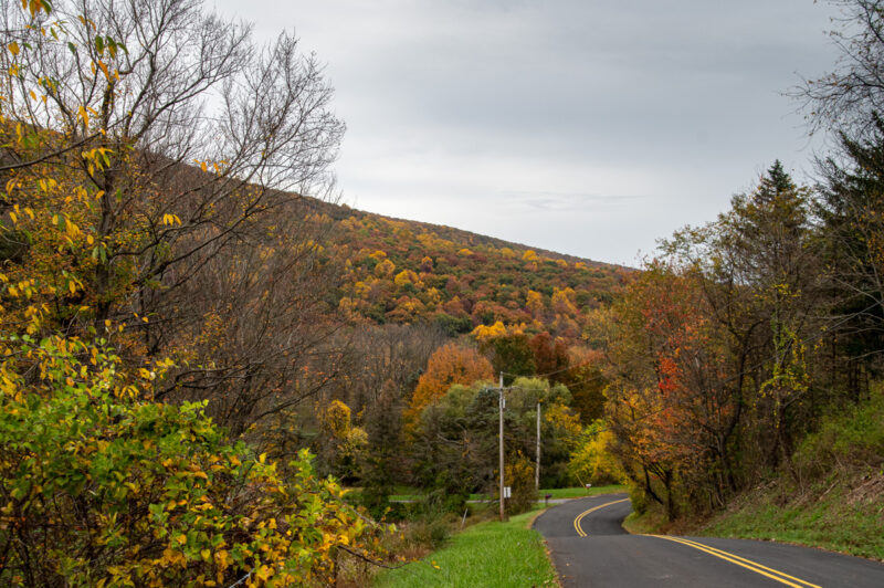 Valley Meander