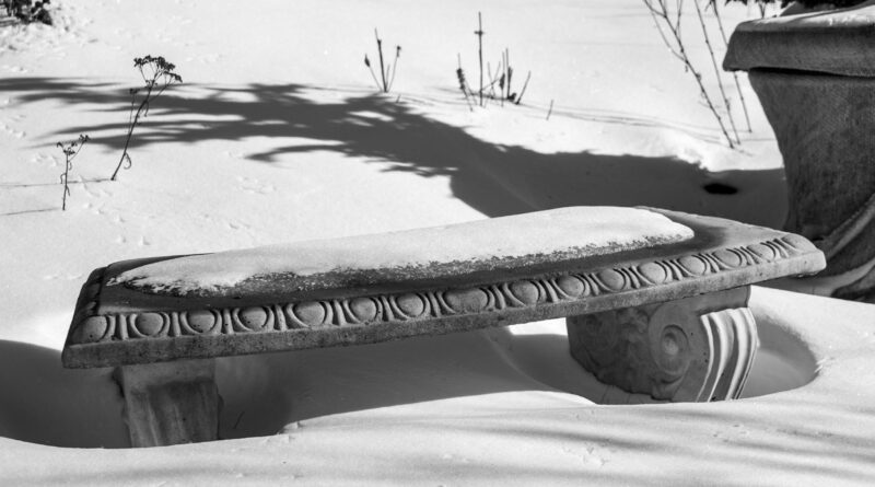Garden Bench covered in snow
