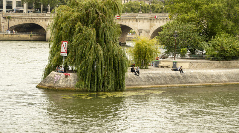 Sleepy Island in the Seine