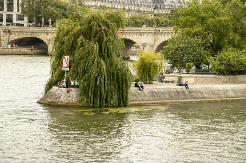 Along the Seine