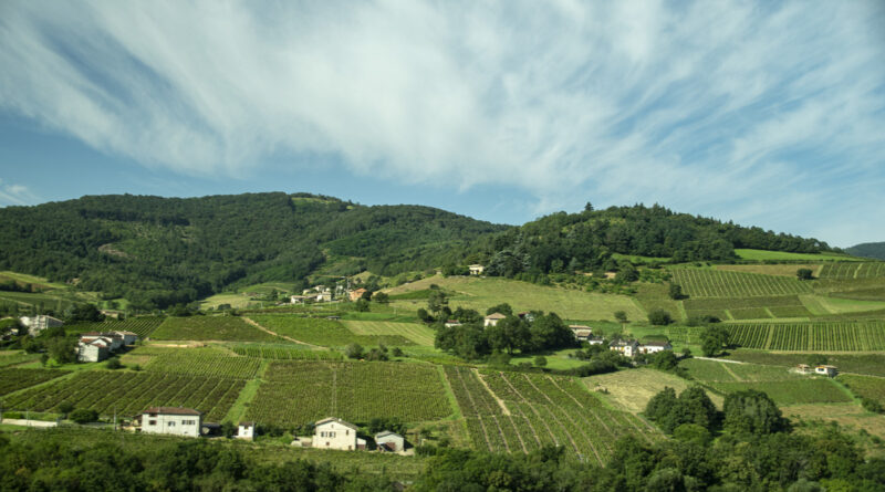 Beaujolais Wine Country