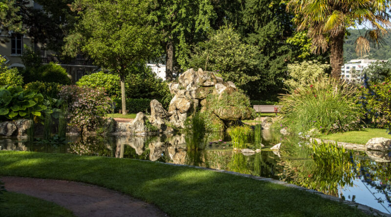 Vienne Park Pond