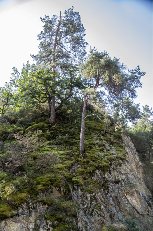 On a Rock Face