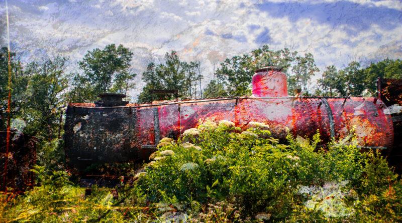 Boiling Behind a Berry Bush, Layered Composite Photograph
