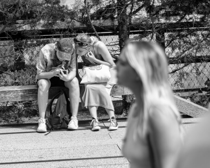 Chimping on the High Line