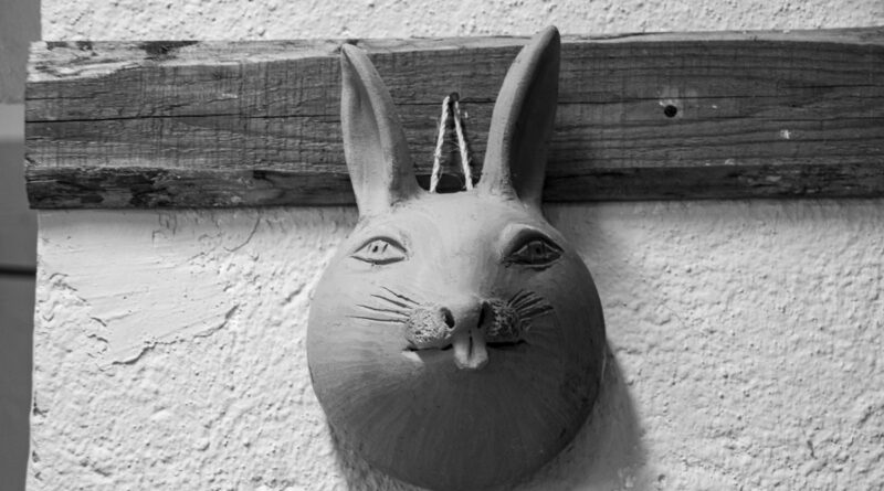Teraccota Rabbit mask handing on the wall