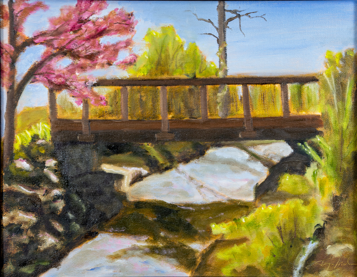 Wyomissing Creek Walking Bridge
