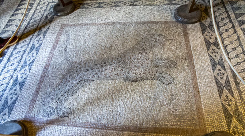 LEOPARD MOSAIC, among the many mosaics stolen and brought to Rhodes by the Ottomans