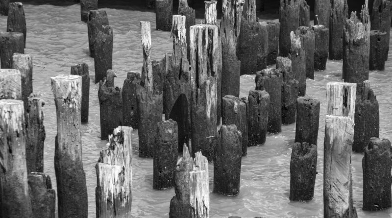 No. 30. Ancient Hudson Structures • Black and White Photograph