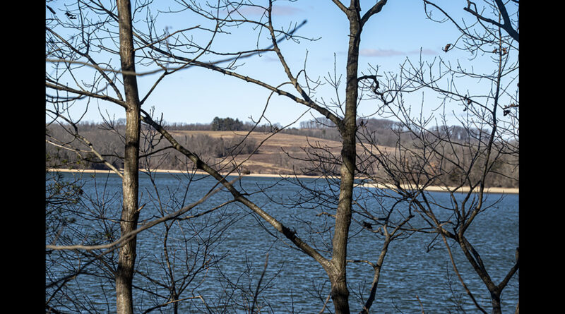Across the Lake Photograph